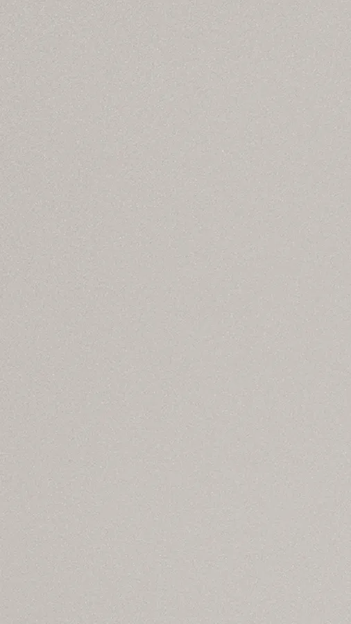 Silver White Metallic — PRO 107