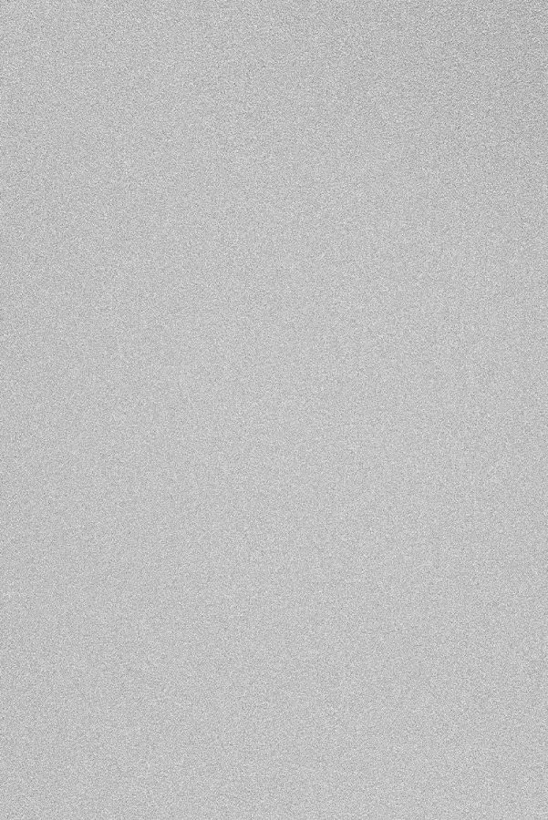 Bright Silver Metallic — PRO 131