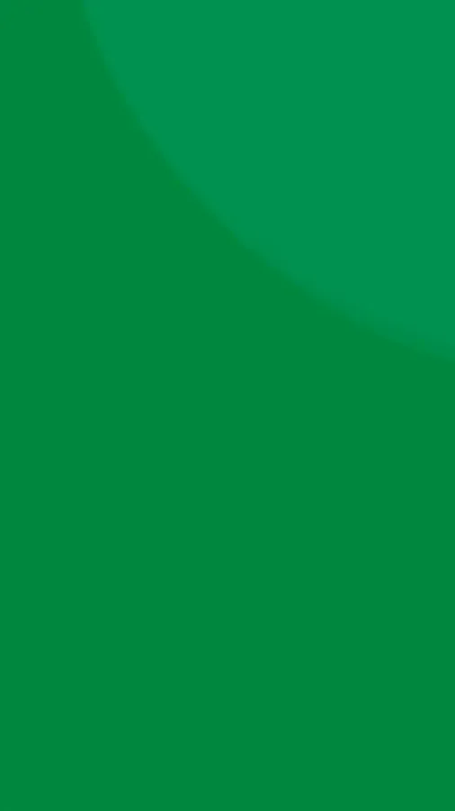 Verde Alto Brilho — PRO 3794