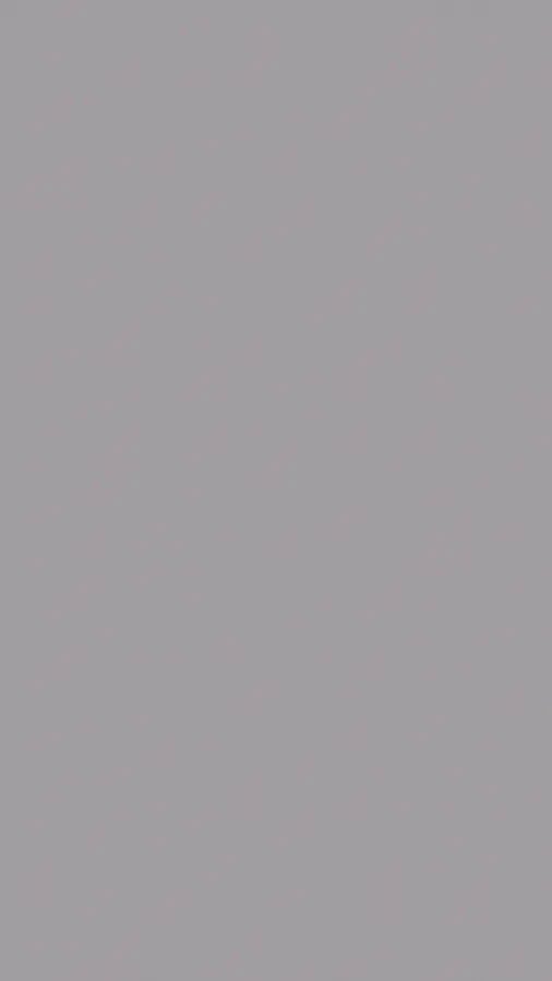 Cinza RAL 7037 — PRO 7037